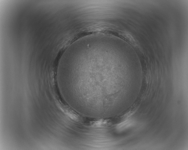 X0000067470366200604071200