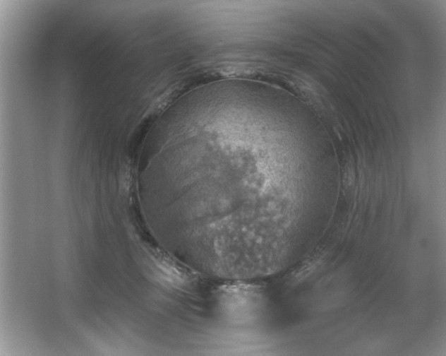 X0000067470367200604071200