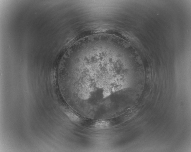 X0000067470369200604071200