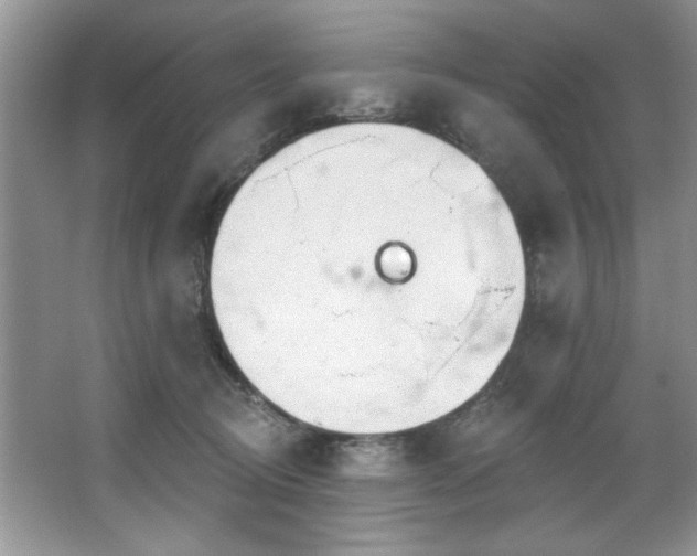 X0000067470370200604071200