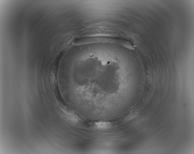 X0000067470371200604071200