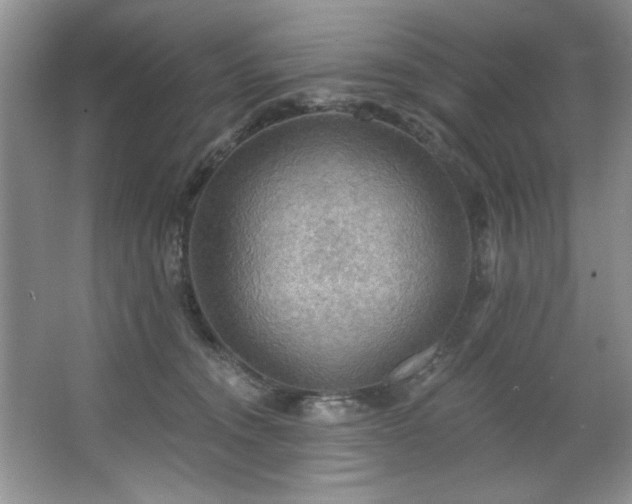 X0000067470372200604071200