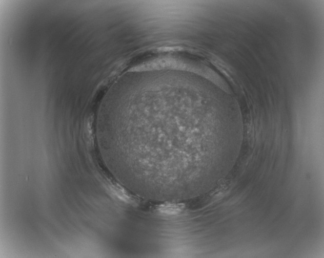 X0000067470373200604071200