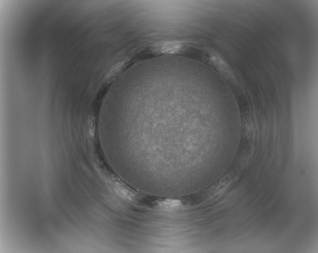 X0000067470374200604071200