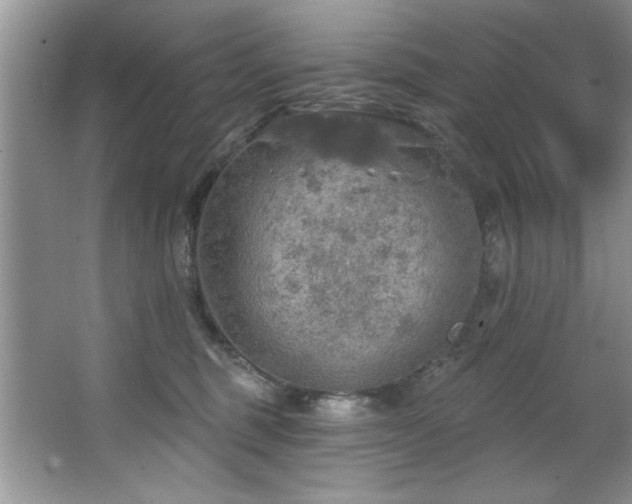 X0000067470375200604071200