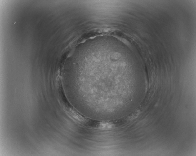 X0000067470376200604071200