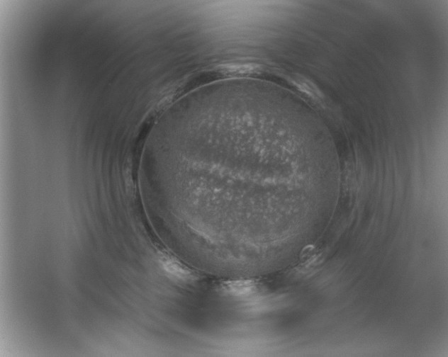 X0000067470377200604071200