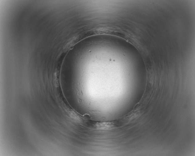 X0000067470378200604071200