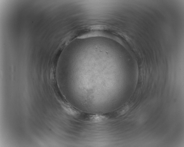 X0000067470379200604071200