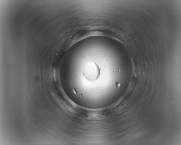 X0000067470380200604071200