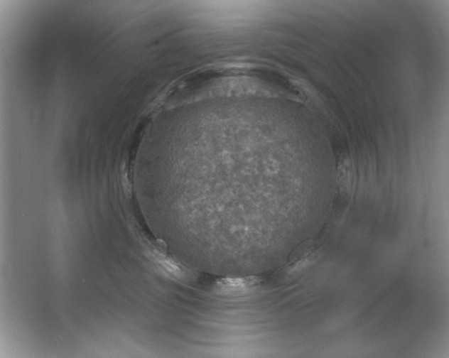 X0000067470381200604071200