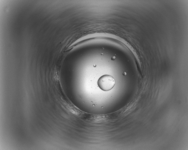 X0000067470384200604071200