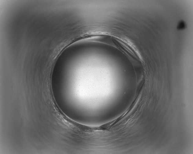 X0000067470385200604071200