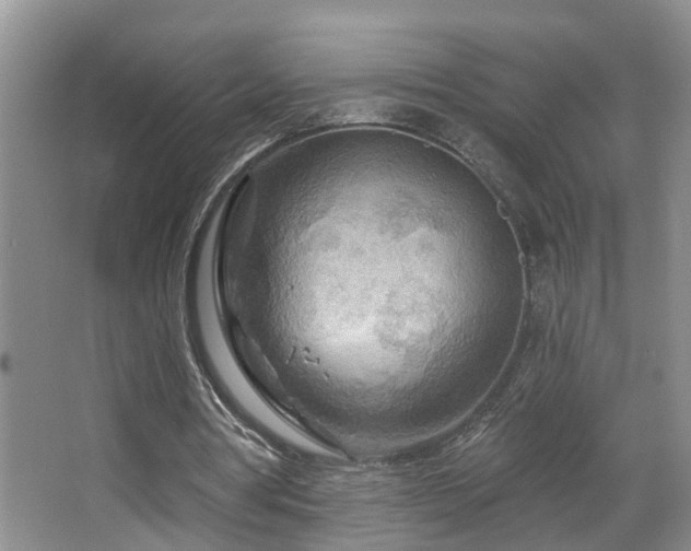 X0000067470386200604071200