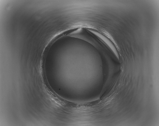 X0000067470387200604071200