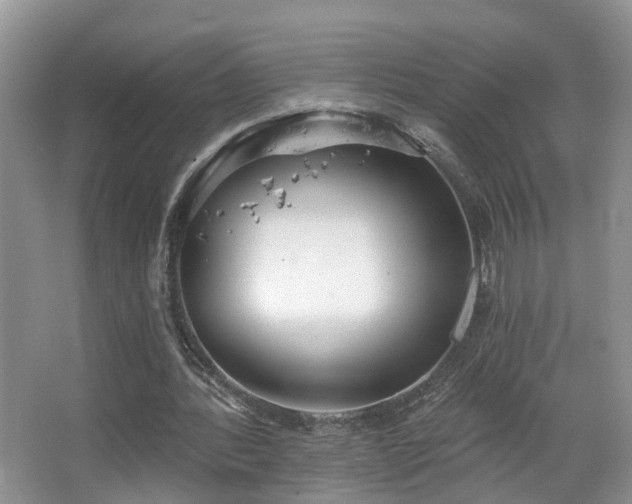 X0000067470388200604071200