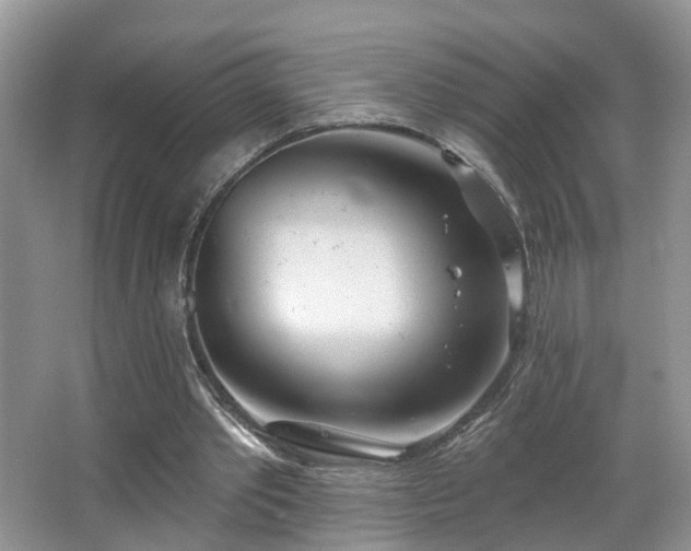 X0000067470389200604071200