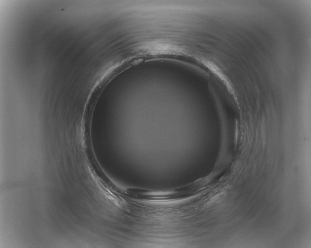 X0000067470391200604071159