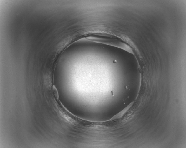 X0000067470393200604071159