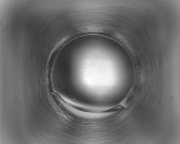 X0000067470395200604071159