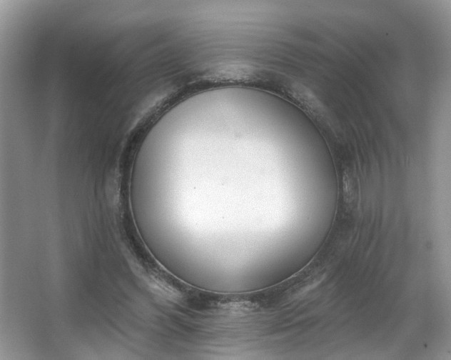 X0000067470396200604071159