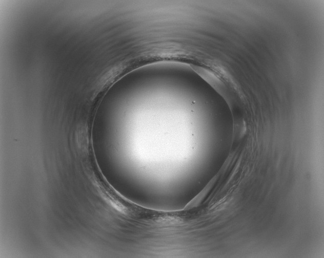 X0000067470397200604071159