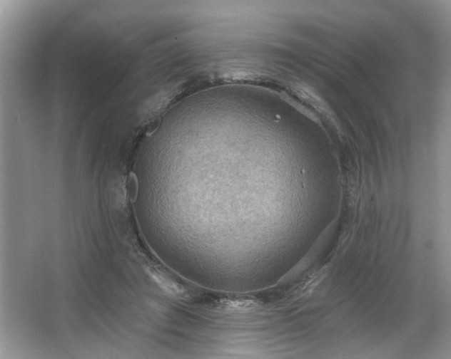 X0000067470401200604071159