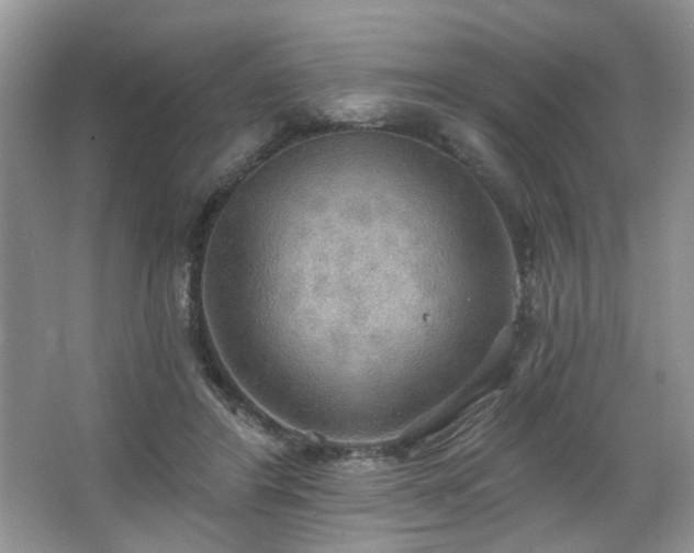 X0000067470404200604071159