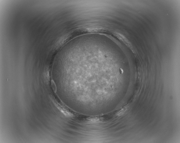 X0000067470405200604071159