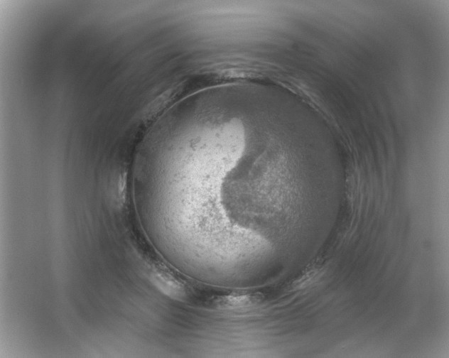 X0000067470406200604071159