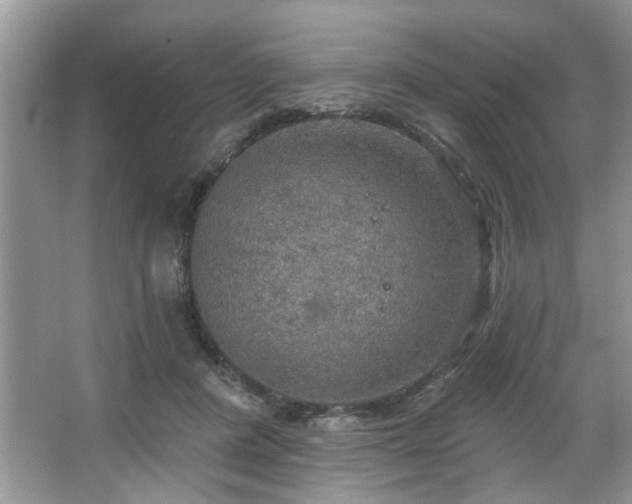 X0000067470408200604071159