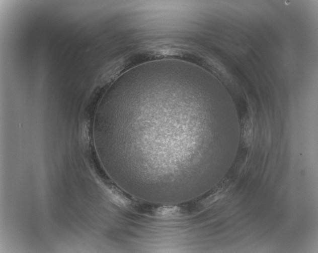 X0000067470410200604071159