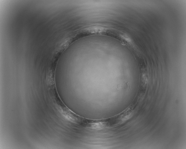 X0000067470411200604071159