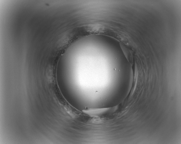 X0000067470416200604071159