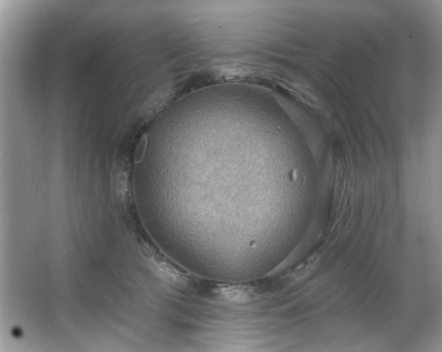 X0000067470417200604071159