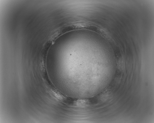 X0000067470418200604071159