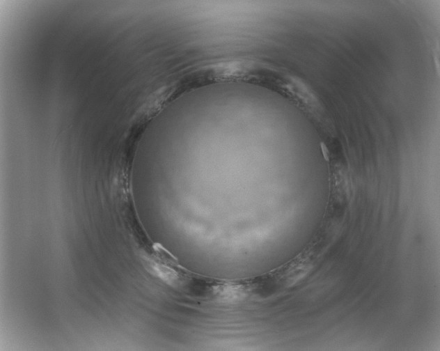 X0000067470419200604071159