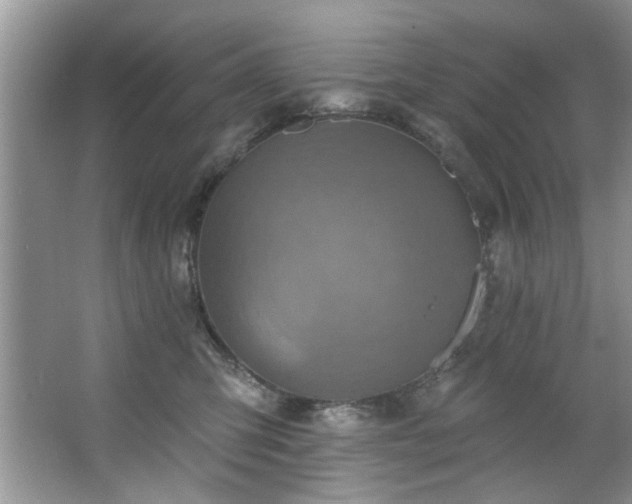 X0000067470423200604071159