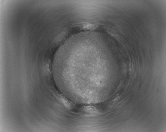 X0000067470424200604071159