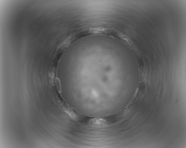 X0000067470427200604071159