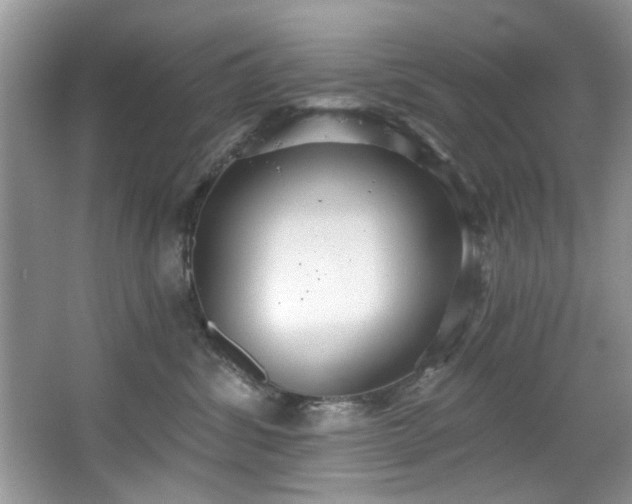 X0000067470428200604071159