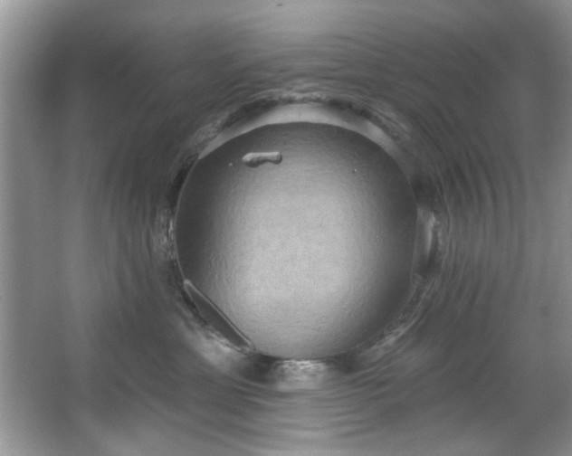 X0000067470429200604071159