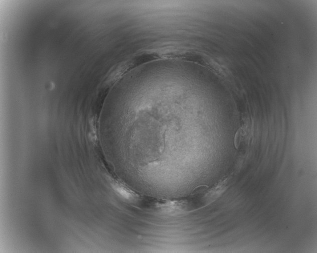 X0000067470430200604071159