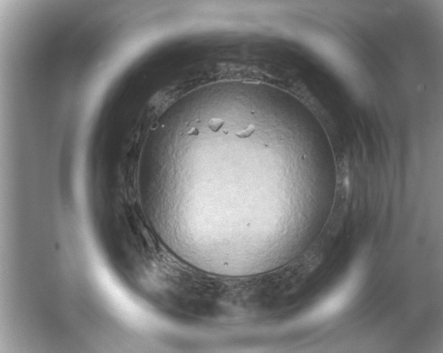 X0000067470431200604071159