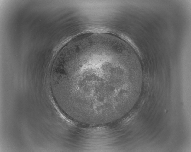 X0000067470433200604071158