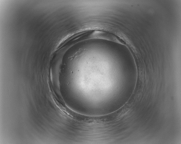 X0000067470434200604071158