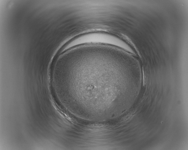 X0000067470435200604071158