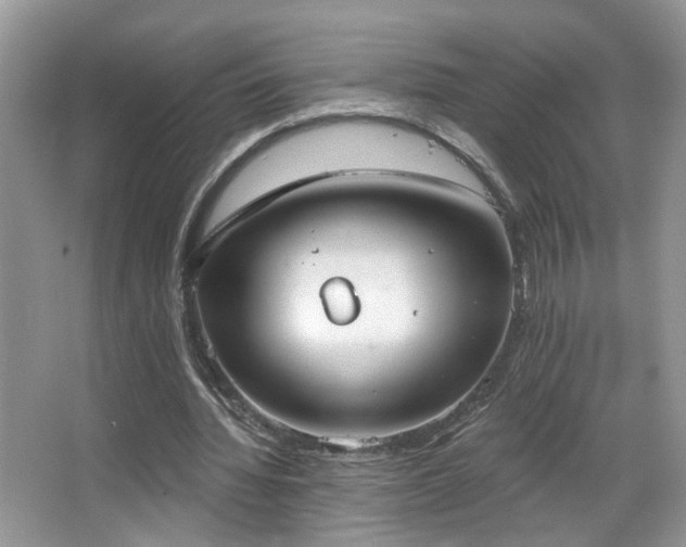 X0000067470436200604071158