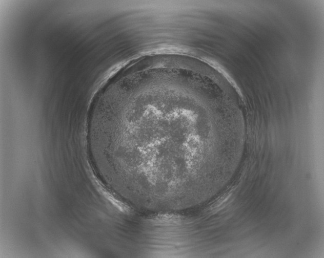 X0000067470437200604071158