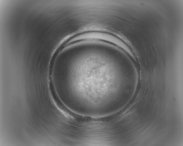 X0000067470438200604071158